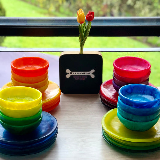 1 Puesto 🍽 VAJILLA REDONDA x 2 Piezas en Resina Especial