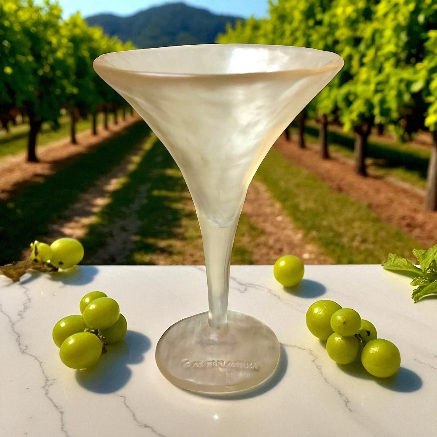 1 COPA Martini 🍸 en Resina Especial 275 ml.