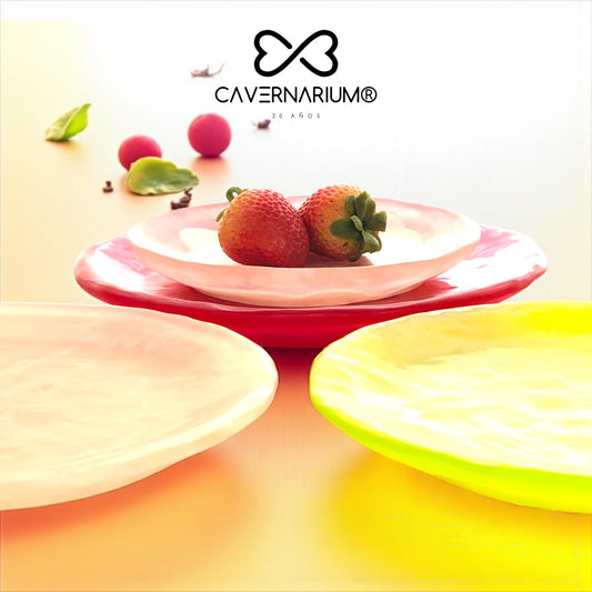 1 PLATO Redondo Grande 🍽 en Resina Especial 26 cms