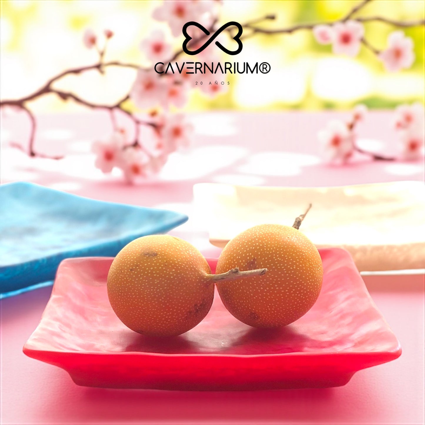 1 PLATO Cuadrado Grande 🍽 en resina Especial 31 cms